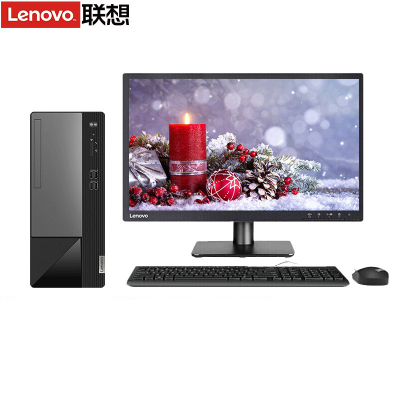 联想(Lenovo)扬天M460+21.5英寸显示器(G6900 8G 256GSSD 集显 W11)官方标配