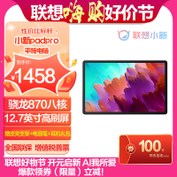 联想(Lenovo)小新padpro 2023款 12.7英寸平板电脑 骁龙870 8G+128G WIFI版 鸽子灰 官方标配