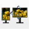 明基（BenQ）BL2411PT 24英寸IPS广视角16：10宽屏100%sRGB色域 专业设计电脑显示器显示屏