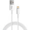 苹果 原装充电器 iPhoneX/8/76/6Plus/5S/se iPhone SE充电头 + 数据线USB连接线