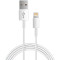 苹果（Apple） MD818FE/A Lightning to USB iPhone/iPad/iPod 连接线/数据