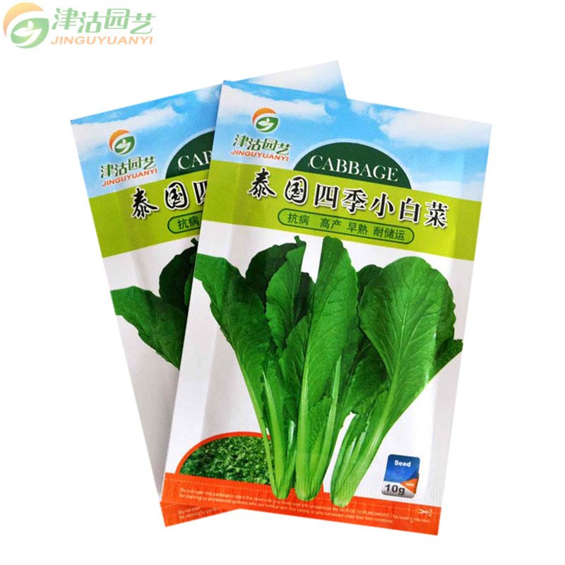 津沽园艺 春秋播蔬菜种子 泰国四季快菜 小白菜种子 家庭盆栽种植