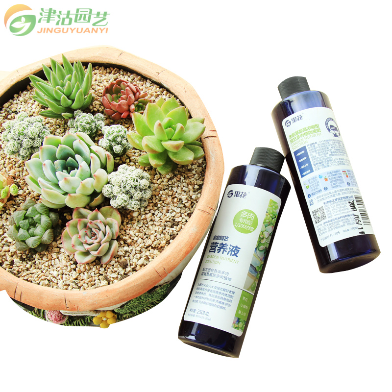 [三免一]津沽园艺 园艺肥料 植物花肥营养液 多肉型肥料 多肉绿植花卉浓缩液体肥 250ml