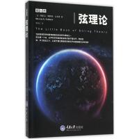 弦理论 (美)斯蒂文·斯科特·古布泽(Steven S.Gubser) 著;季燕江 译 著 文教 文轩网