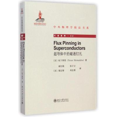 超导体中的磁通钉扎 (日)松下照男 著 索红莉//张子立//(日)倪宝荣//刘志勇 译 生活 文轩网