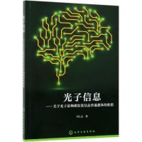 光子信息:关于光子是物质组装信息传递载体的推想 刘仁志 著 著 专业科技 文轩网