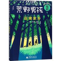 远离家乡 (美)布兰登·华莱士(Brandon Wallace) 著 任梦 译 文学 文轩网