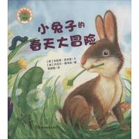 小动物的四季故事 小兔子的春天大冒险 