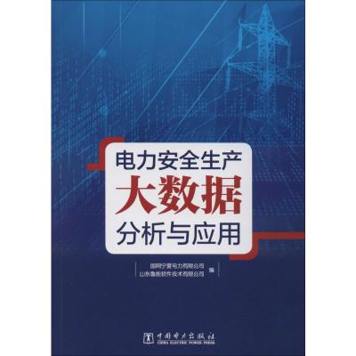 电力安全生产大数据分析与应用 国网宁夏电力有限公司,山东鲁能软件技术有限公司 编 专业科技 文轩网