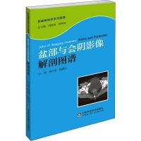 盆部与会阴影像解剖图谱 林祥涛,陶国伟,刘树伟 等 编 生活 文轩网