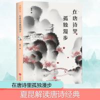 在唐诗里孤独漫步 夏昆 著 文学 文轩网