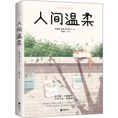 人间温柔 毕淑敏,张炜,范小青 等 著 文学 文轩网