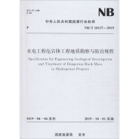 水电工程危岩体工程地质勘察与防治规程 NB/T 10137-2019 国家能源局 专业科技 文轩网