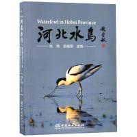 河北水鸟 张海、孟德荣 著 专业科技 文轩网