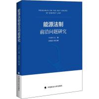 能源法制前沿问题研究 于文轩 编 社科 文轩网