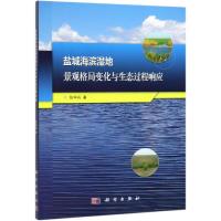 盐城海滨湿地景观格局变化与生态过程响应 张华兵 著 专业科技 文轩网