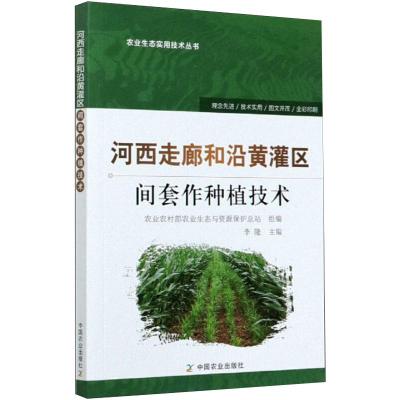 河西走廊和沿黄灌区间套作种植技术 李隆 编 专业科技 文轩网