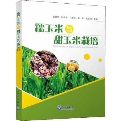 糯玉米与甜玉米栽培 张建华,时成俏,马春红 等 编 专业科技 文轩网