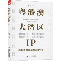 粤港澳大湾区IP 粤港澳大湾区价值发掘与IP打造 陈琼 著 经管、励志 文轩网