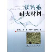 镁钙系耐火材料 陈树江 等 著作 专业科技 文轩网