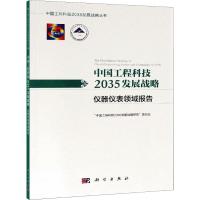 中国工程科技2035发展战略 仪器仪表领域报告 "中国工程科技2035发展战略研究"项目组 编 专业科技 文轩网