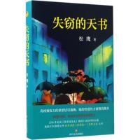 失窃的天书 松鹰 著 著作 文学 文轩网