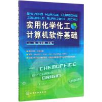 实用化学化工计算机软件基础/汪海 汪海,田文德主编 著 大中专 文轩网