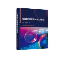 电催化剂碳载体的功能化 杨丽丽、陈维民  著 著 专业科技 文轩网