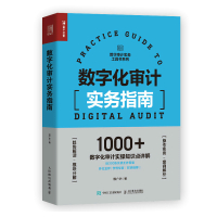 数字化审计实务指南 程广华 著 经管、励志 文轩网