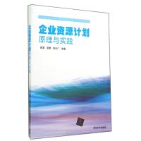 企业资源计划原理与实践/陶雷 莫赞 高京广 陶雷//莫赞//高京广 著作 大中专 文轩网