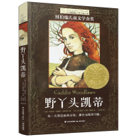 长青藤国际大奖小说书系第十三辑:野丫头凯蒂
