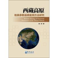 西藏高原地表参数遥感监测方法研究 除多 著 著 专业科技 文轩网