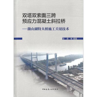 双塔双索面三跨预应力混凝土斜拉桥:微山湖特大桥施工关键技术 张涛 等 著 专业科技 文轩网