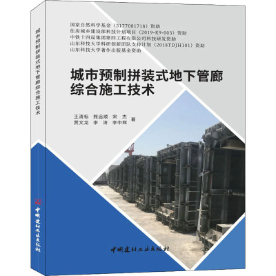 城市预制拼装式地下管廊综合施工技术 王清标 等 著 专业科技 文轩网