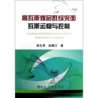 高瓦斯煤层群综采面瓦斯运移与控制 谢生荣,赵耀江 著作 专业科技 文轩网