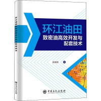 环江油田致密油高效开发与配套技术 吴晓明 等 著 专业科技 文轩网