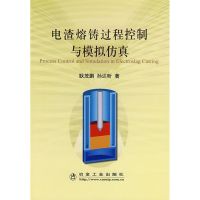 电渣熔铸过程控制与模拟仿真 耿茂鹏//孙达昕 著作 著 专业科技 文轩网