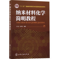 纳米材料化学简明教程 汪信,刘孝恒 编 大中专 文轩网