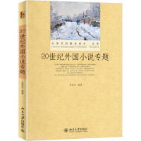 20世纪外国小说专题 吴晓东 编 大中专 文轩网