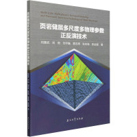 页岩储层多尺度多物理参数正反演技术 刘喜武 等 著 专业科技 文轩网