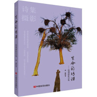 生命的功课——杨珊摄影诗集 杨珊 著 文学 文轩网