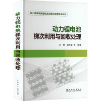 动力锂电池梯次利用与回收处理 王刚,赵光金 编 专业科技 文轩网