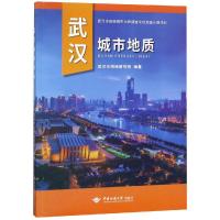 武汉城市地质 武汉市测绘研究院 著 专业科技 文轩网