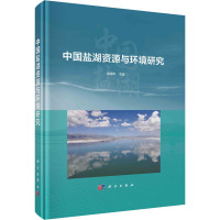 中国盐湖资源与环境研究 郑绵平 编 专业科技 文轩网