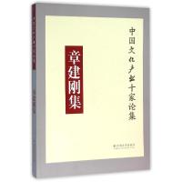 章建刚集 章建刚 著作 著 文学 文轩网