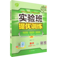 实验班提优训练 数学 7年级下(RMJY) 人教版 2023 严军 编 文教 文轩网