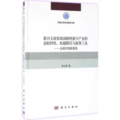 新兴大国发展战略性新兴产业的追赶时机、赶超路径与政策工具 黄永春 著 著 经管、励志 文轩网