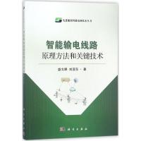 智能输电线路原理方法和关键技术 盛戈皞,刘亚东 著 专业科技 文轩网