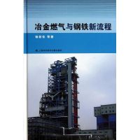 冶金燃气与钢铁新流程 杨若仪 等 著 专业科技 文轩网