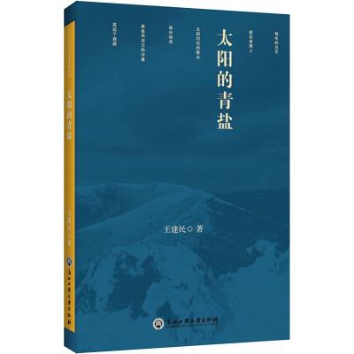 太阳的青盐 王建民 著 文学 文轩网